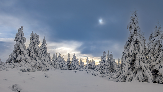 zasněžená krajina